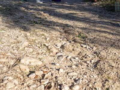 �Stiamo camminando su un tratto della vecchia via Traiana, la strada romana che collegava Benevento a Brindisi aperta tra il 108 e il 109 d.C.�, avverte Patrizia